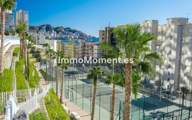 Wiederverkauf - Wohnung - Benidorm - Benidorm Centro