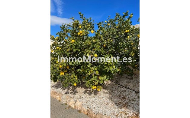 Bestaande woning - Vrijstaande villa - Altea - Altea Centro