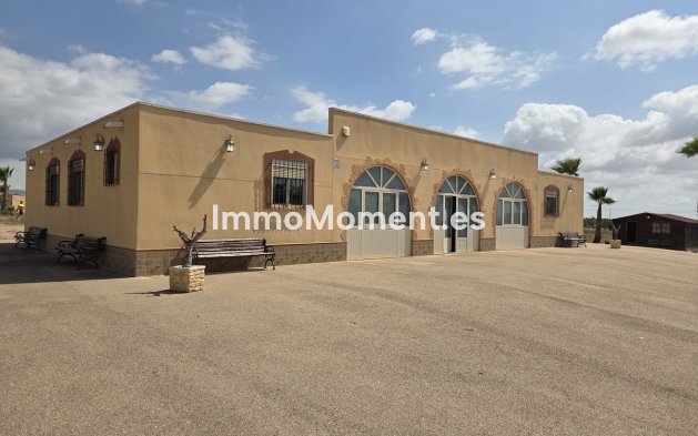 Resale - Detached villa - Fuente Alamo - Fuente-Álamo de Murcia Centro