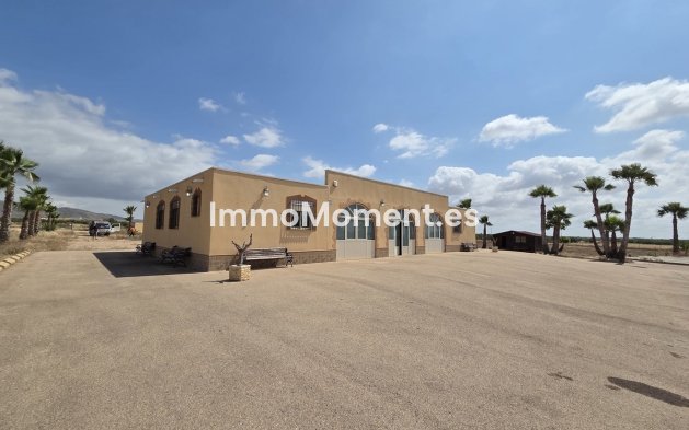 Resale - Detached villa - Fuente Alamo - Fuente-Álamo de Murcia Centro