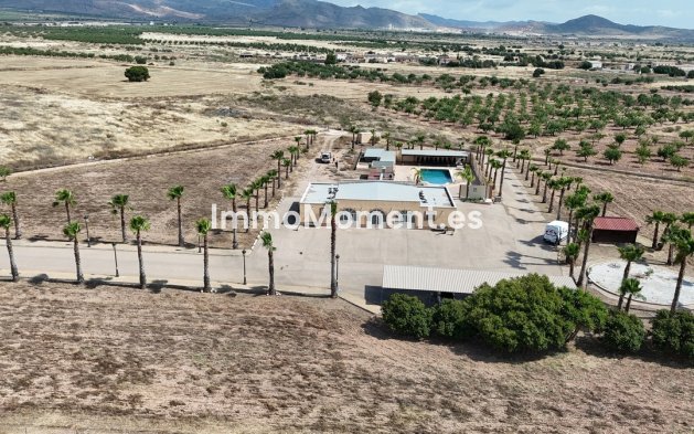 Resale - Detached villa - Fuente Alamo - Fuente-Álamo de Murcia Centro