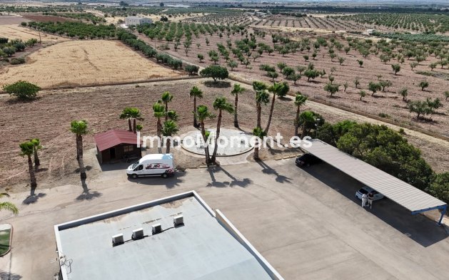 Resale - Detached villa - Fuente Alamo - Fuente-Álamo de Murcia Centro