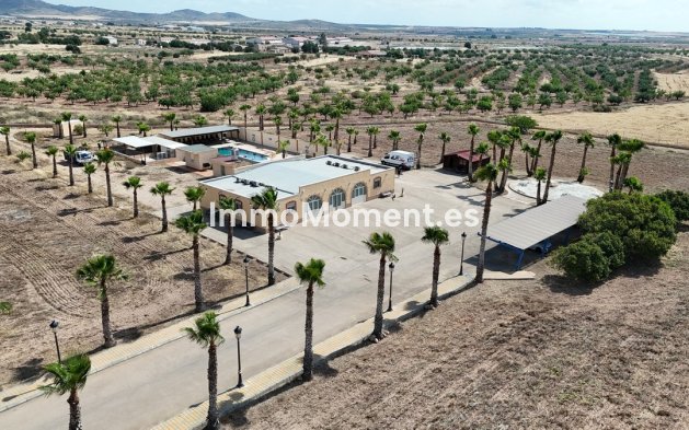 Resale - Detached villa - Fuente Alamo - Fuente-Álamo de Murcia Centro