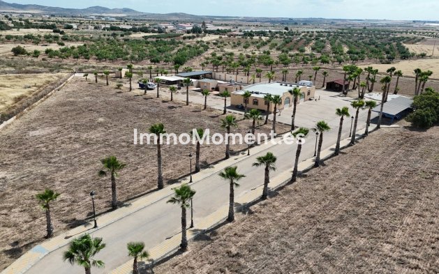 Resale - Detached villa - Fuente Alamo - Fuente-Álamo de Murcia Centro