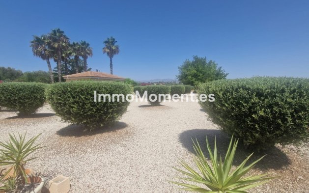 Resale - Detached villa - Catral - Catral Centro