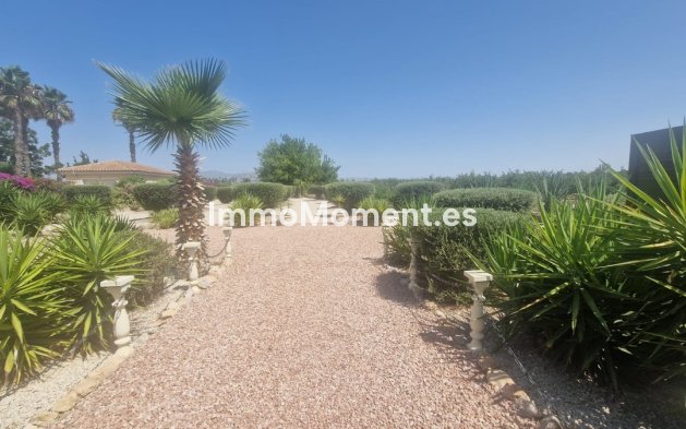 Resale - Detached villa - Catral - Catral Centro