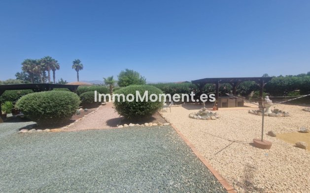 Resale - Detached villa - Catral - Catral Centro