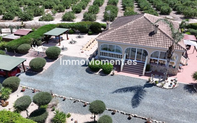 Resale - Detached villa - Catral - Catral Centro