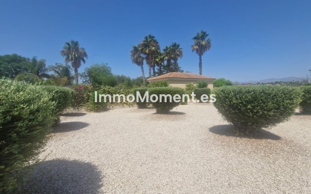 Resale - Detached villa - Catral - Catral Centro