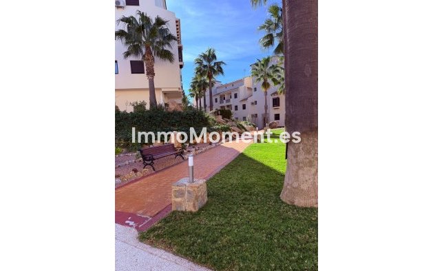 Bestaande woning - Appartement - Orihuela - Las Ramblas Golf