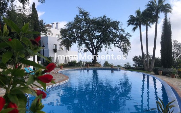 Resale - Apartment - Marbella - La Mairena