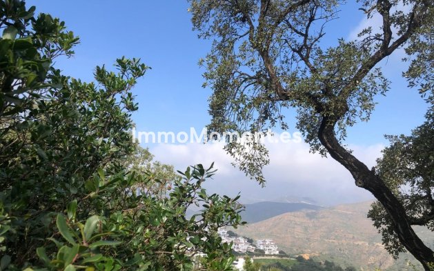 Resale - Apartment - Marbella - La Mairena