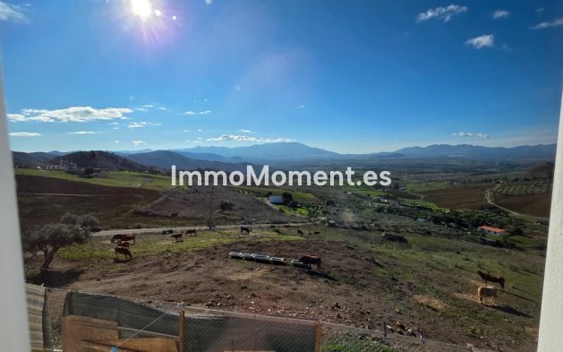 Reventa - Casa de campo - Interior  - Pizarra