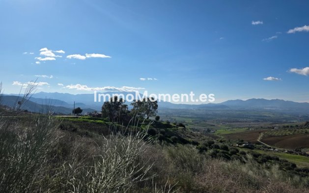 Reventa - Casa de campo - Interior  - Pizarra
