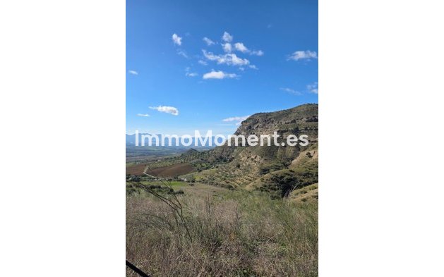 Reventa - Casa de campo - Interior  - Pizarra