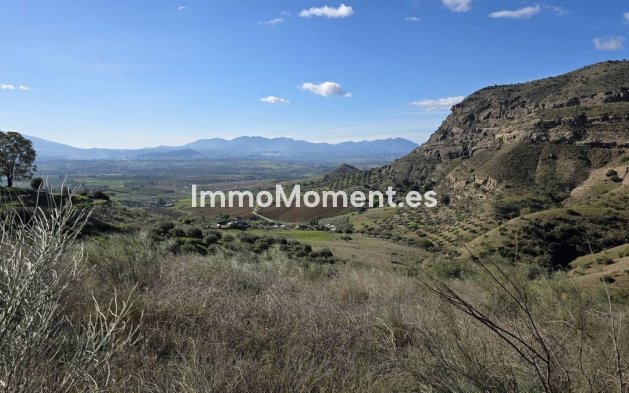 Reventa - Casa de campo - Interior  - Pizarra