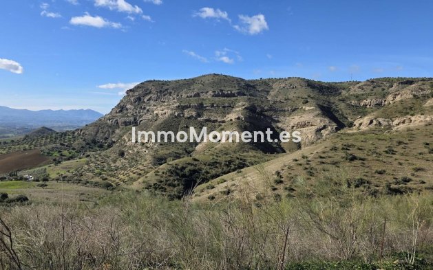 Reventa - Casa de campo - Interior  - Pizarra