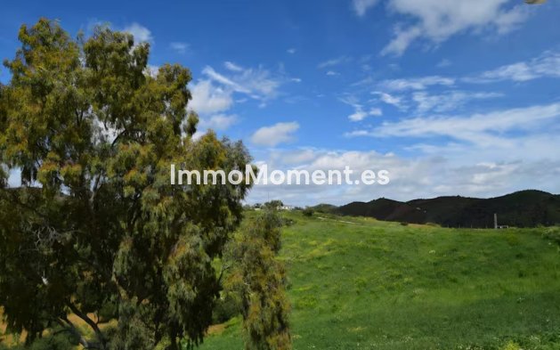 Reventa - Casa de campo - Interior  - Pizarra