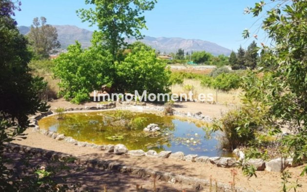 Reventa - Casa de campo - Interior  - Alhaurín de la Torre