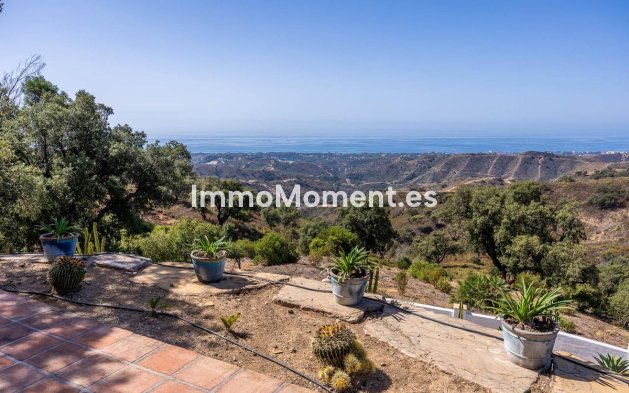Wiederverkauf - Freistehende Villa - Marbella - Marbella Centro