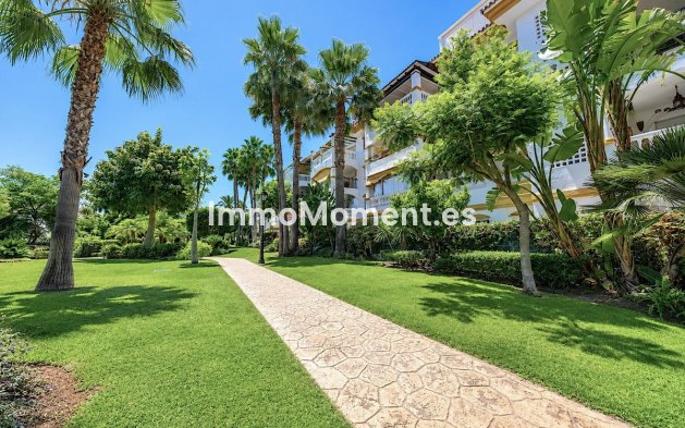 Reventa - Apartamento - Marbella - Nueva Andalucía