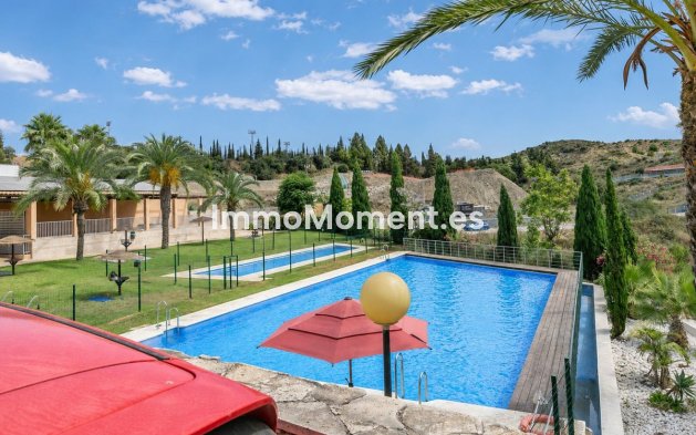 Bestaande woning - Rijtjeshuis - Mijas - Mijas Centro