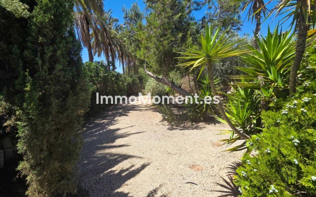Resale - Detached villa - Elche - Elche Centro
