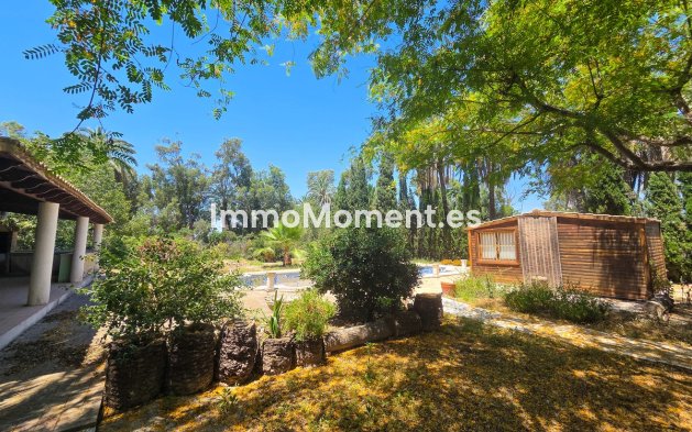 Resale - Detached villa - Elche - Elche Centro