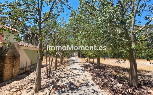 Resale - Detached villa - Elche - Elche Centro