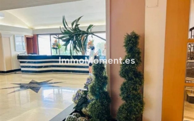 Wiederverkauf - Wohnung - Marbella - Nueva Andalucía