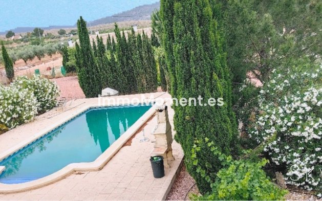 Wiederverkauf - Freistehende Villa - Pinoso - Pinoso Centro