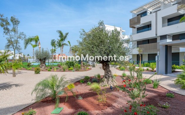 Resale - Apartment - Torre Pacheco - Torre-Pacheco Centro