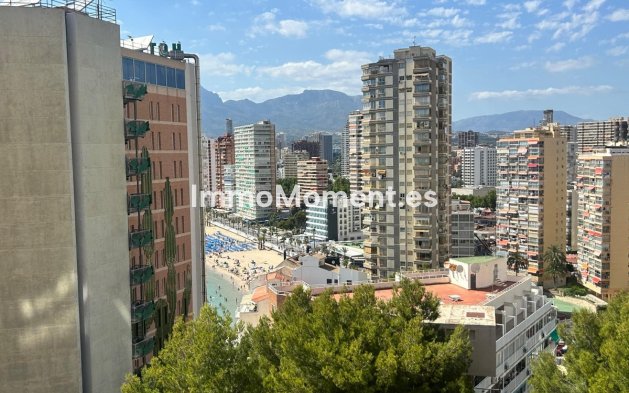 Bestaande woning - Appartement - Benidorm - Benidorm Centro