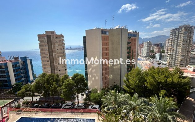 Bestaande woning - Appartement - Benidorm - Benidorm Centro