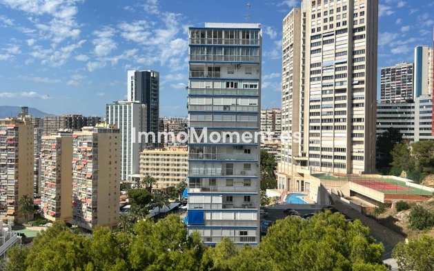 Bestaande woning - Appartement - Benidorm - Benidorm Centro