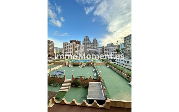 Reventa - Apartamento - Benidorm - Benidorm Centro
