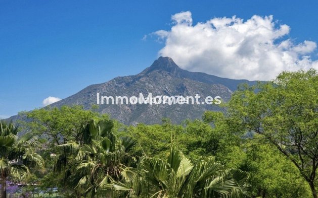 Wiederverkauf - Wohnung - Marbella - Nueva Andalucía