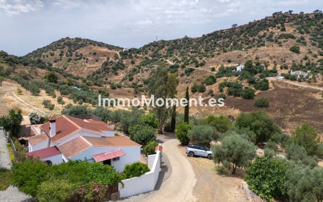 Revente - Maison de campagne - Intérieur                       - Alora