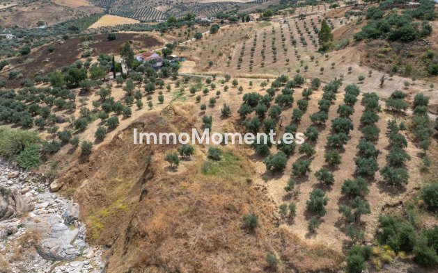 Revente - Maison de campagne - Intérieur                       - Alora