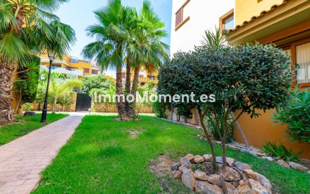 Reventa - Apartamento - Torrevieja - Torrevieja Centro