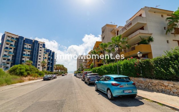Reventa - Apartamento - Torrevieja - Torrevieja Centro