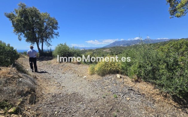 Reventa - Villa independiente - Marbella - El Rosario