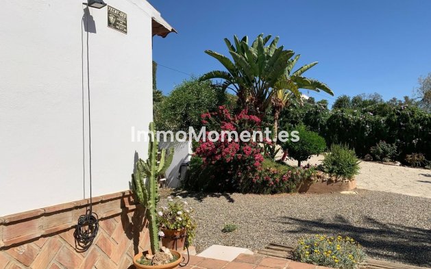 Revente - Villa individuelle - Intérieur                       - Alora