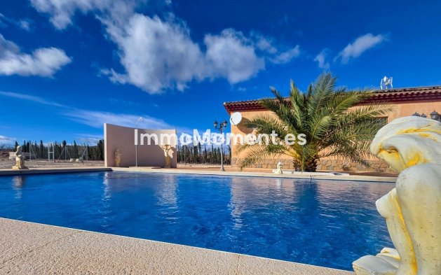 Revente - Villa individuelle - Pinoso - Pinoso Centro