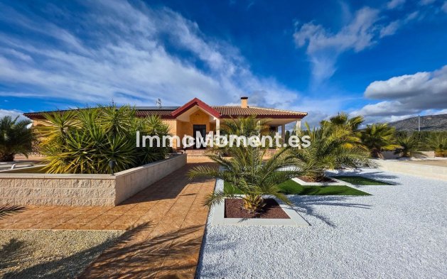 Revente - Villa individuelle - Pinoso - Pinoso Centro