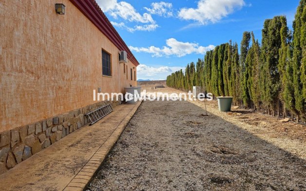 Revente - Villa individuelle - Pinoso - Pinoso Centro