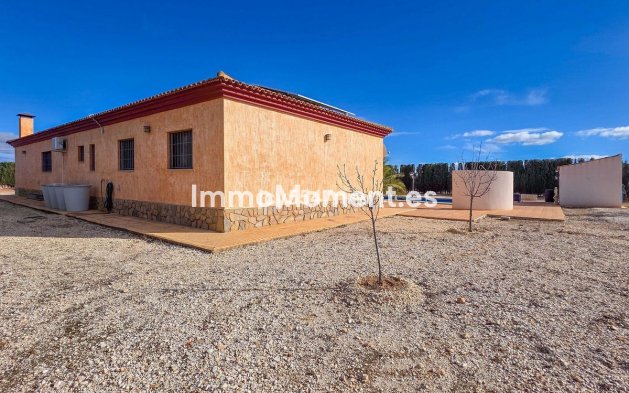 Revente - Villa individuelle - Pinoso - Pinoso Centro