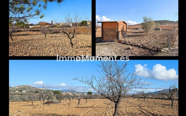 Revente - Villa individuelle - Jumilla - Cañada del Trigo