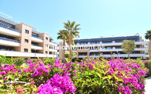 Revente - Appartement - Orihuela - Playa Flamenca
