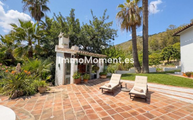 Revente - Maison de campagne - Intérieur                       - Alhaurín el Grande Centro